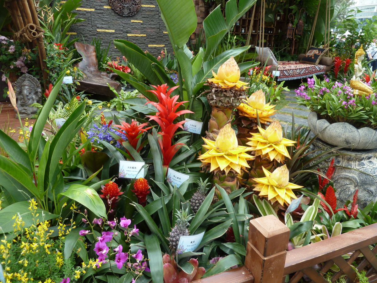 Photo of Hong Kong Flower Show