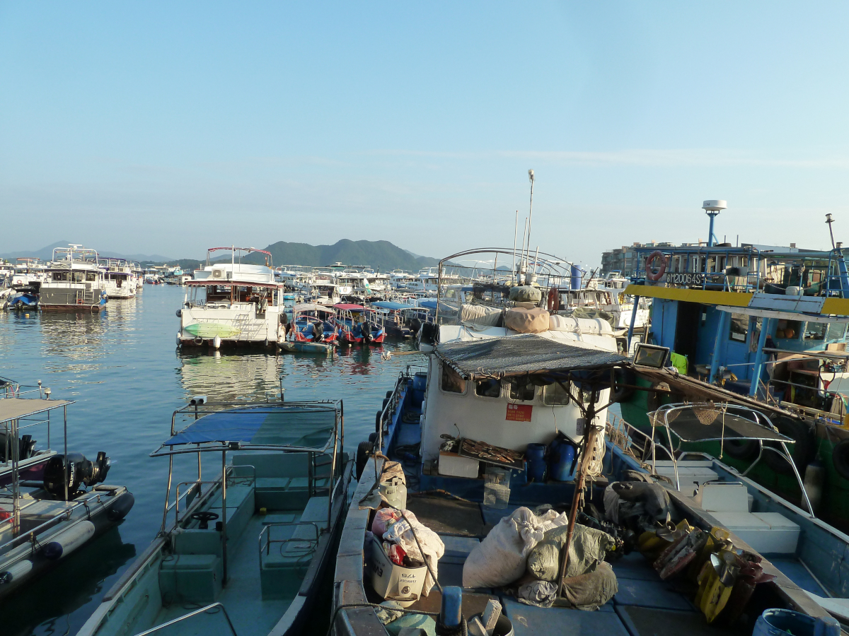 Photo of Hong Kong 2025 15